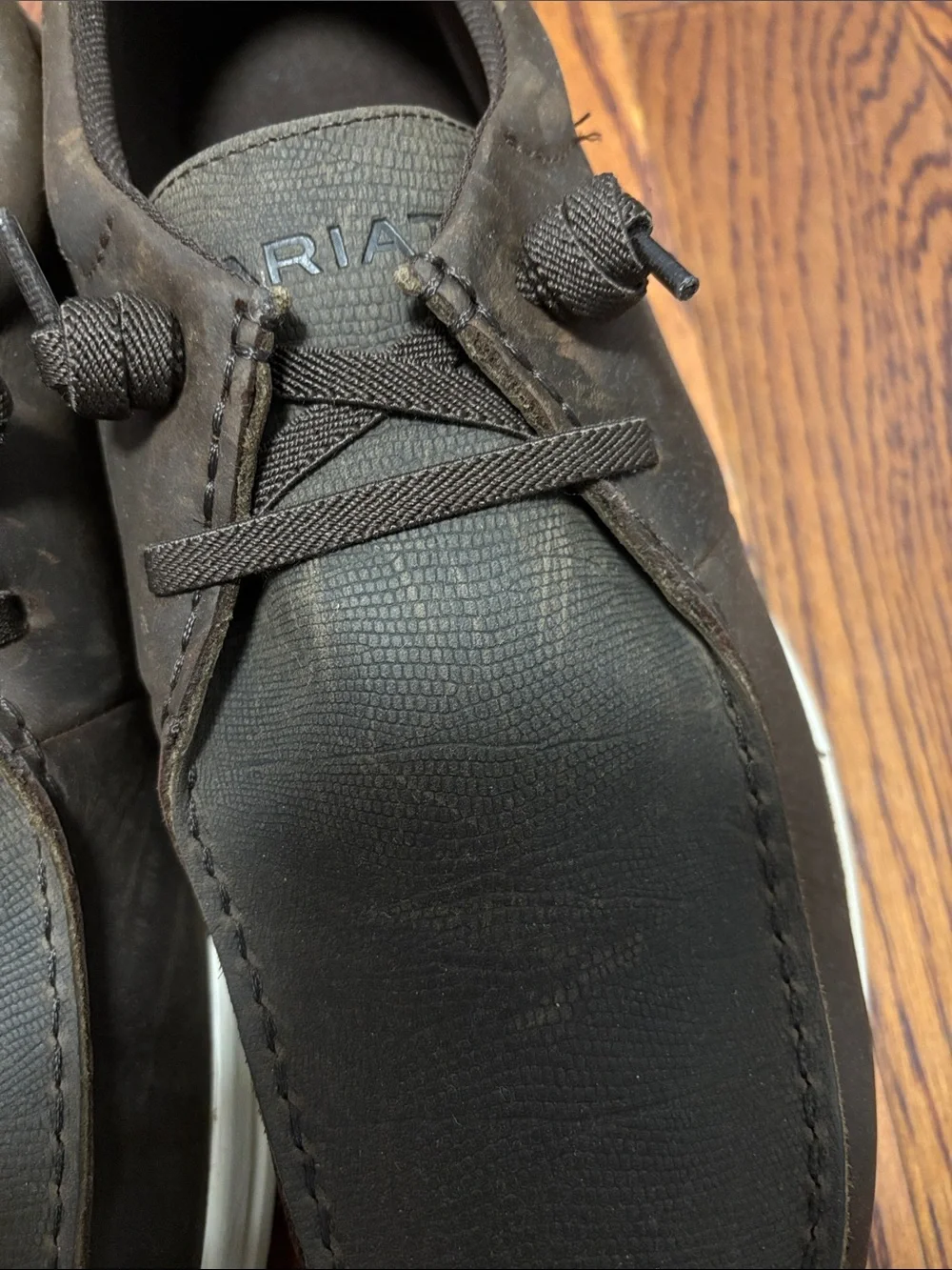 Ariat Buckeye H20 Dark Brown Work/Casual Shoes Size: 12 EE WIDE NEW IN BOX